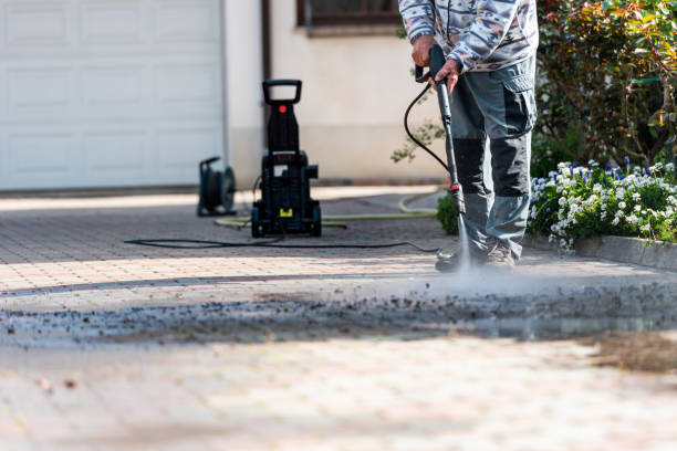 Best Affordable Power Washing  in Hawthorne, FL